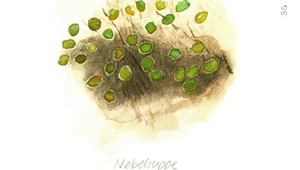 SKETCHBOOKDIARY - SG Westerhorn 19.11.2011 - Nebelsuppe (Haselstrauch)